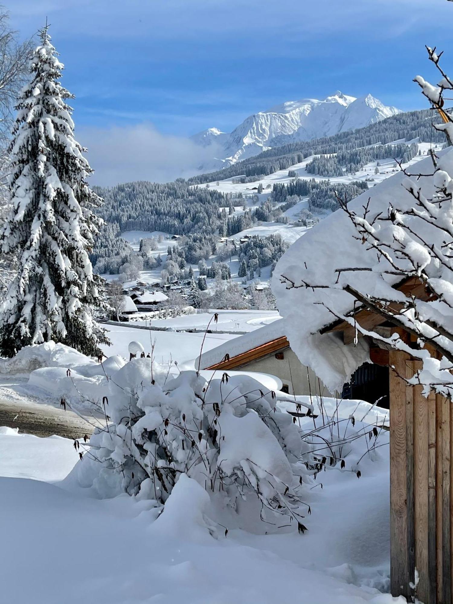 Chalet A Megeve-Vauvray - Grands Appartements , Vue Mont Blanc Demi-Quartier Buitenkant foto