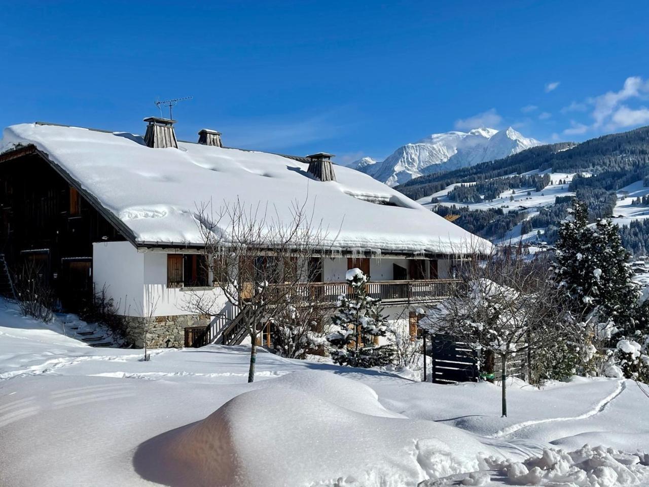 Chalet A Megeve-Vauvray - Grands Appartements , Vue Mont Blanc Demi-Quartier Buitenkant foto