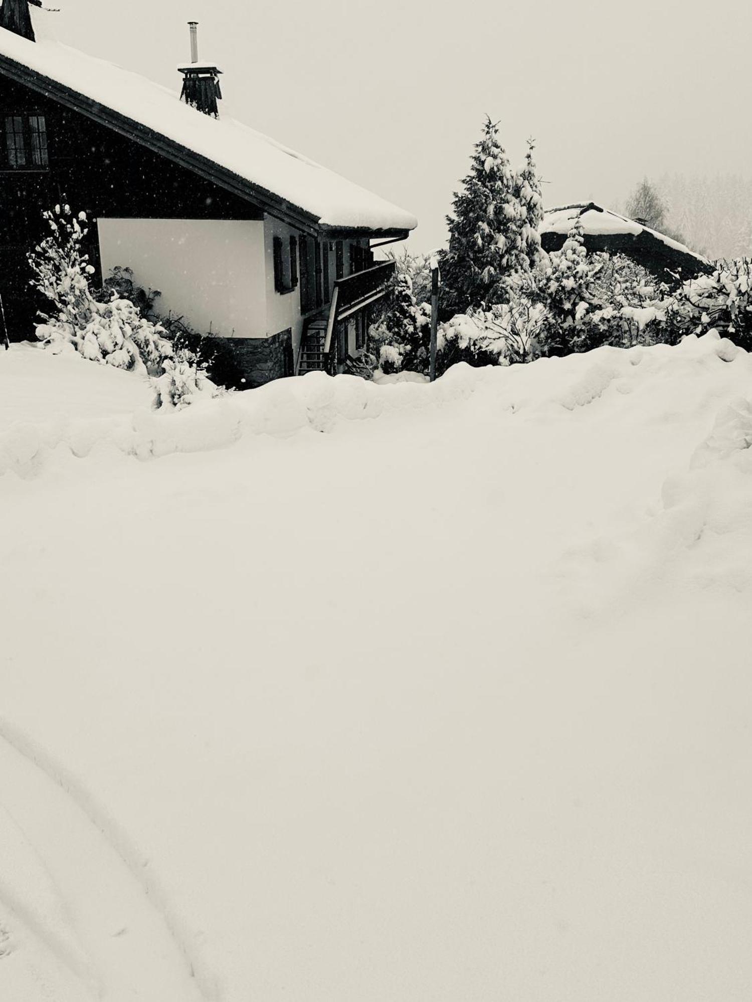 Chalet A Megeve-Vauvray - Grands Appartements , Vue Mont Blanc Demi-Quartier Buitenkant foto