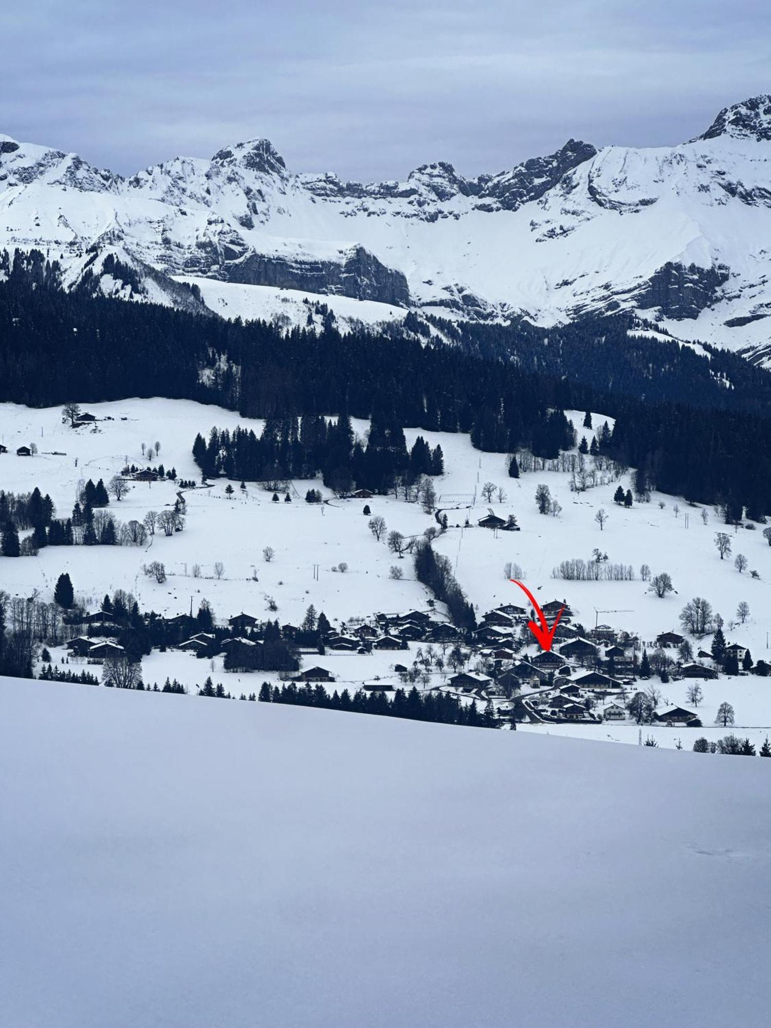 Chalet A Megeve-Vauvray - Grands Appartements , Vue Mont Blanc Demi-Quartier Buitenkant foto